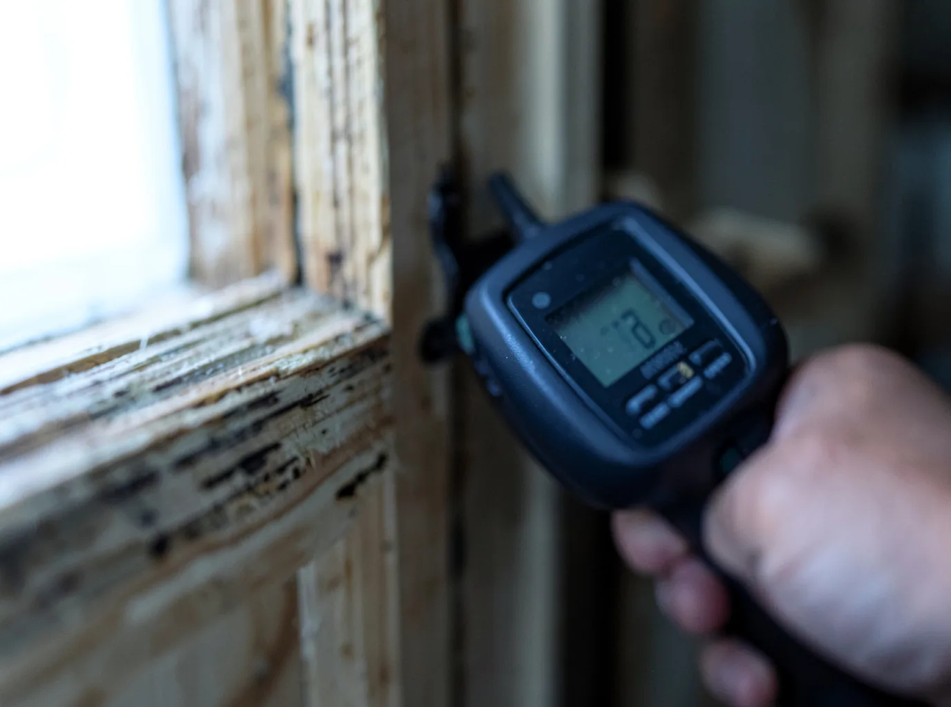 Moisture Inspection And Documentation in Jessup, MD